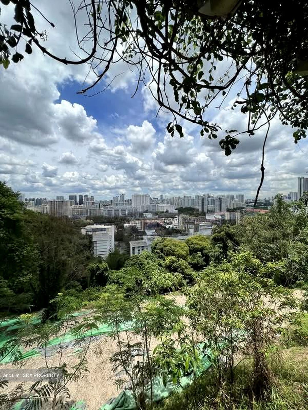 The Pearl @ Mount Faber (D4), Condominium #570702941